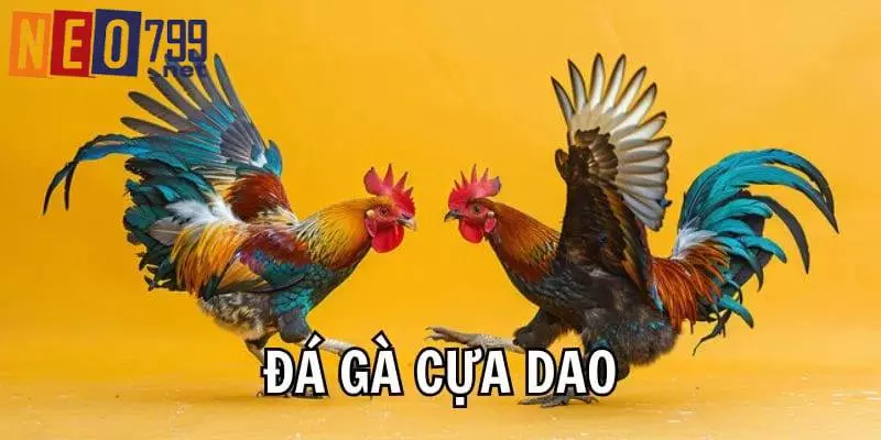 Đá Gà Cựa Dao – Sản Phẩm Kịch Tính, Thách Thức Tại NEO79 2 Khái quát về đá gà cựa dao