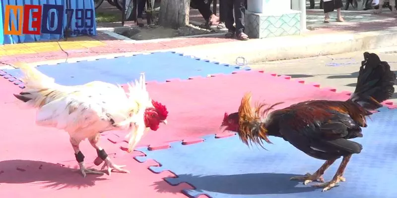 Update luật chơi chuẩn