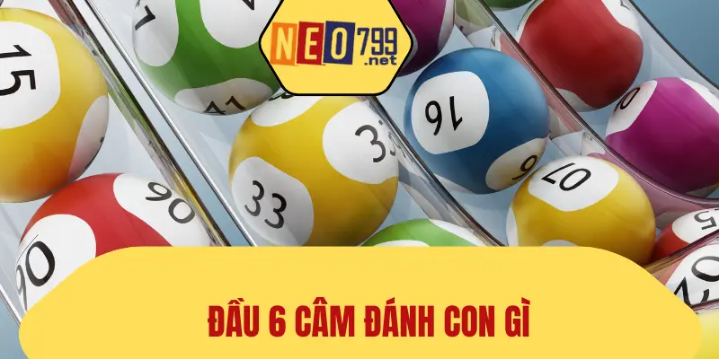 đầu 6 câm đánh con gì