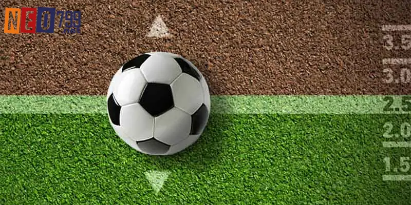 Tổng hợp các loại kèo thể thao NEO79 phổ biến 